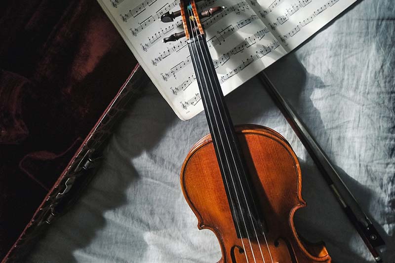 Violino